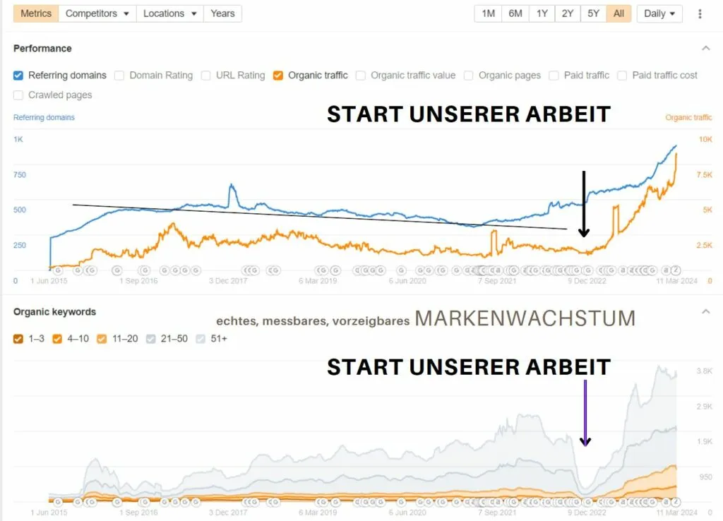 Auswertung des organischen Traffics und der verweisenden Domains von rolf-spectacles.com